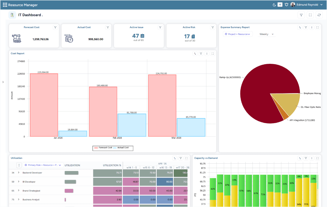 Dashboard showing project costs, risks, issues, utilization, and capacity trends across a portfolio