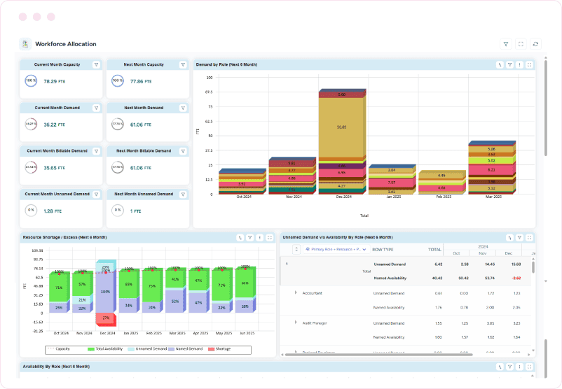 Dashboard showing monthly capacity, demand, role-based demand, resource shortages, and availability details