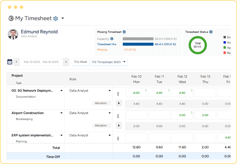 PSA project accounting software timesheet interface
