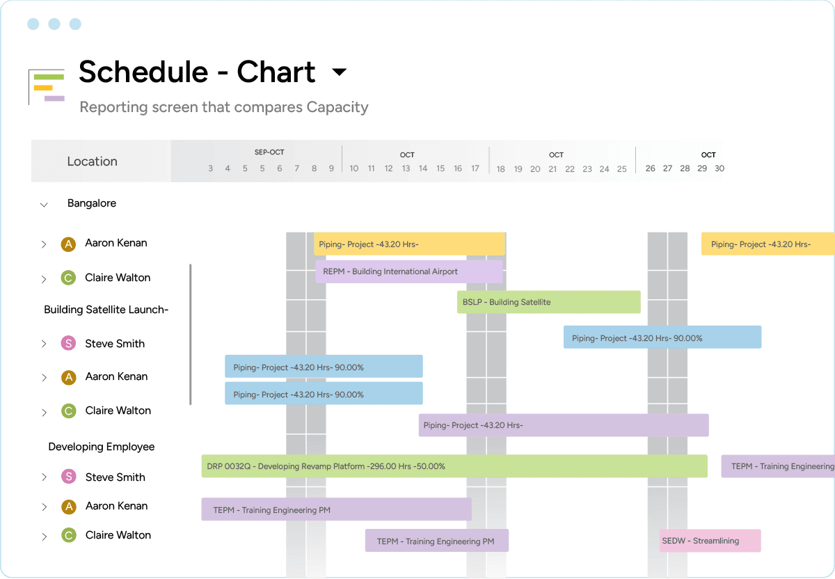 Reporting screen that compares capacity of resources in professional industry