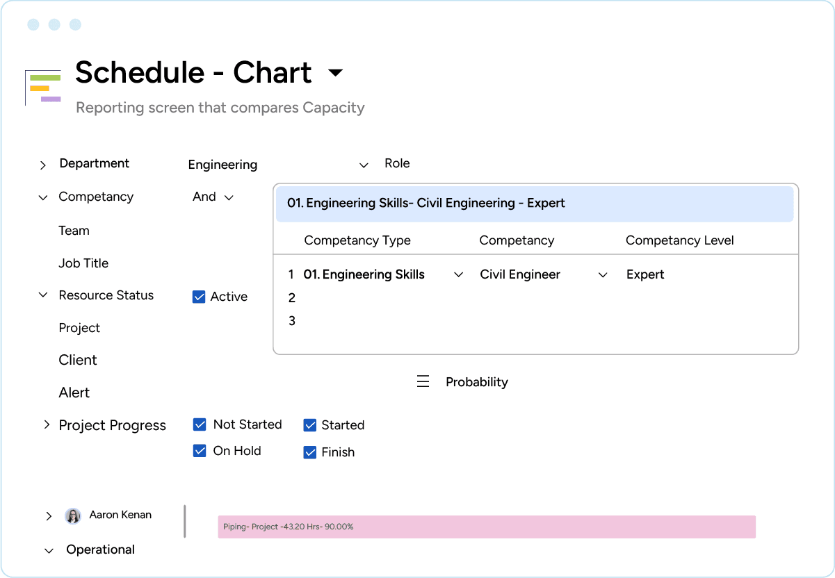 Schedule chart with filtered out competencies of resources for IT industry