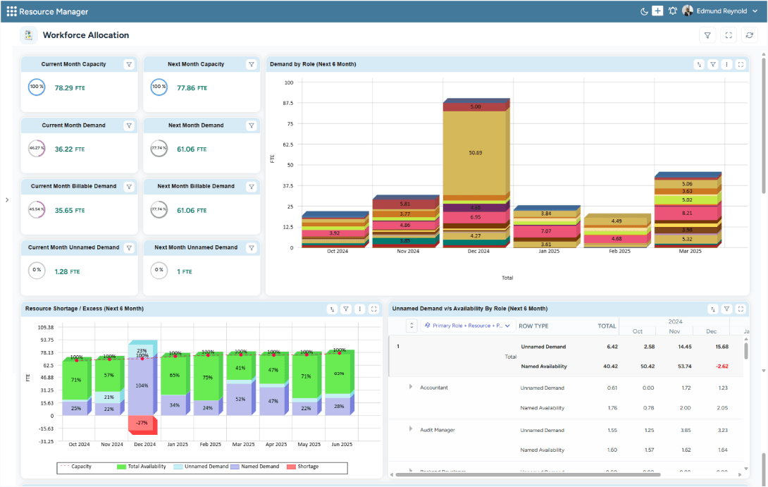 Dashboard displaying overall and role-wise capacity, demand, and availability for the next month and six months