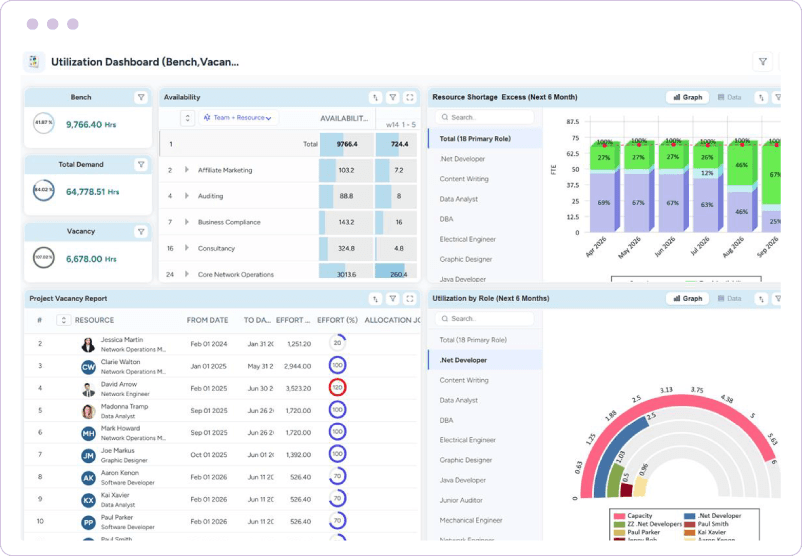 Dashboard showing availability, resource shortage and excesses, project vacancy, and utilization by role metrics