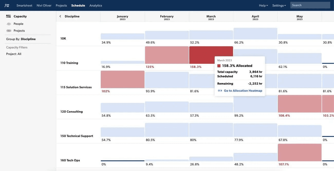 Dashboard showing monthly capacity allocation by discipline.