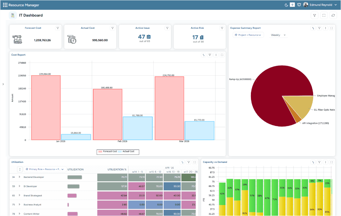 Dashboard showing cost reports, active issues, active risks, expense summary, and resource utilization data
