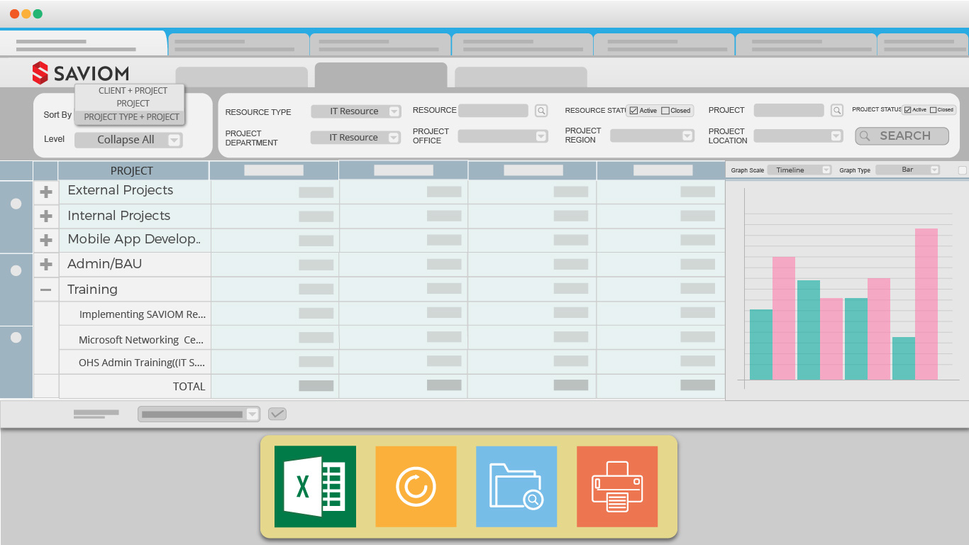 Representation of a report on Saviom ERM Web