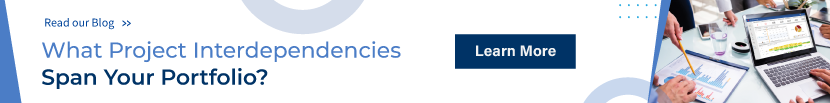 What Project Interdependencies Span your Portfolio