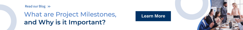 Project Milestones and its Importance