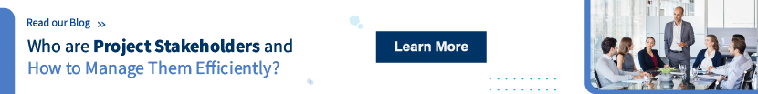 Manage project stakeholders efficiently