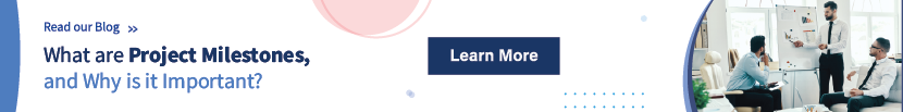 Importance of project milestone