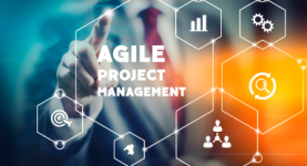 How to Manage Resources in Agile Project Management