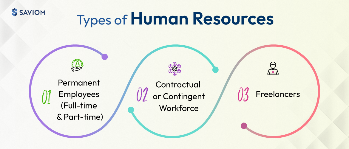 Infographic illustrating different types of human resources in an organization