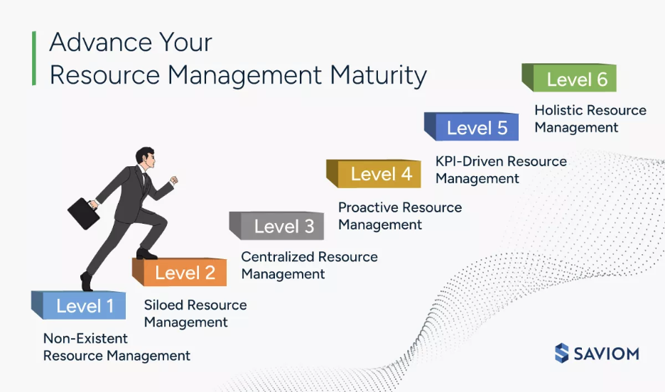 Visual representation of resource management maturity.