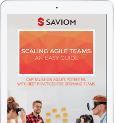 Scaling agile teams guide